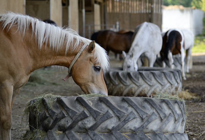 Navigating Challenges in Packaging and Cardboard Disposal